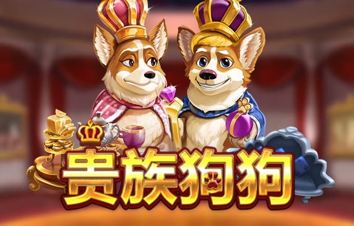 885566威尼斯